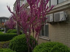 -兴芮温泉度假区