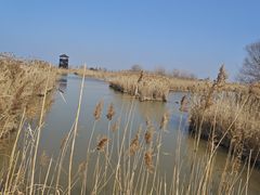 -盐城丹顶鹤湿地生态旅游区