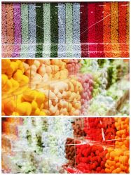 -THE COLORIST调色师