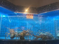 -协成海鲜火锅(情侣路店)