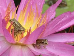 -国家植物园南园