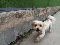 -江燕路万科里