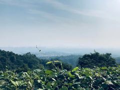 -火炉山森林公园