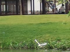 -石湖景区