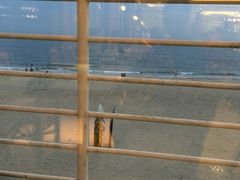 -海天一色海景自助餐厅(西港花园店)