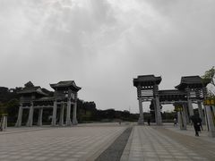 -王借岗森林公园