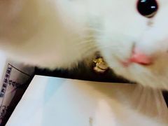 -2烧烤串·秘制鲫鱼