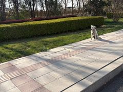 -武清南湖绿博园