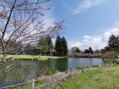 -轻井泽王子购物广场