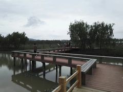 -漩门湾国家湿地公园