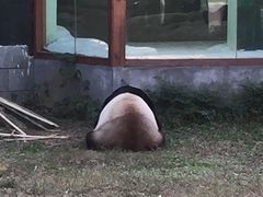 -南昌动物园