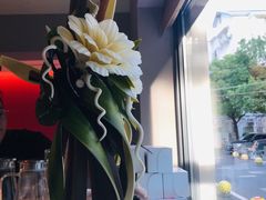 -Punchline Coffee&Roaster(同济大学店)