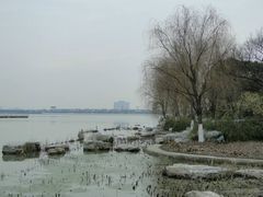 -金鸡湖桃花岛