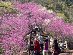 -天台山赤城山景区