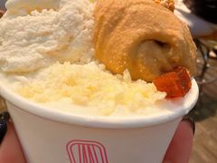 -红楼HONGLOU Gelato(淮海中路店)