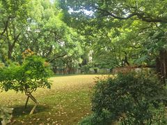 -上海宋庆龄故居纪念馆