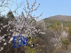 -八奇洞景区