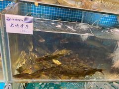 -胖姐渔村(中源大道店)