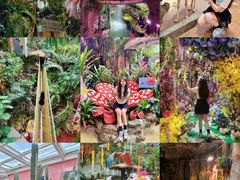 -正佳雨林生态植物园