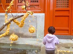 -承恩寺