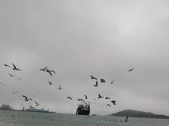-海驴岛(荣成市)