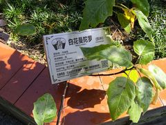 -广州神农草堂中医药博物馆