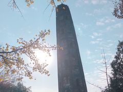 -上海佘山国家森林公园天马山园