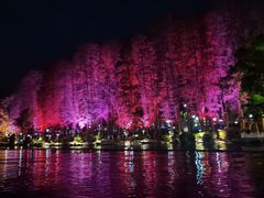 -桂林两江四湖景区