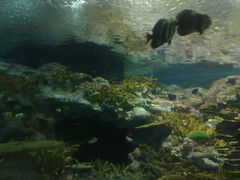 -上海海洋水族馆-停车场