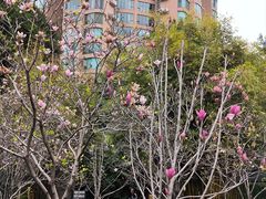 -晓港公园