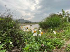 -风云岭森林公园