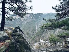 -庐山风景区花径公园