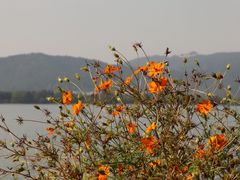 -石湖景区