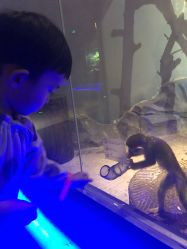 -萌宠亲子动物乐园(槐房万达店)