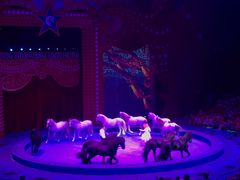 -珠海横琴长隆《卡卡虎奇遇记》