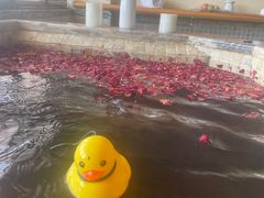 -春晖园度假酒店温泉