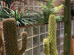 -悦海·家宴·冰花皮皮虾大锅贴(宝龙店)