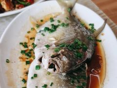 -红月湾海鲜饭店•沙滩海景(双月湾店)