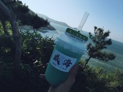 -养马岛旅游度假区