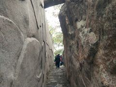 -鲁山国家森林公园