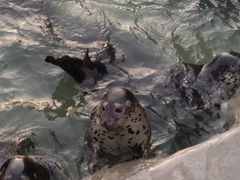 -华夏文旅西安度假区