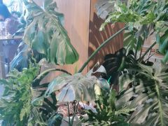 -1861意大利餐厅(文化广场店)