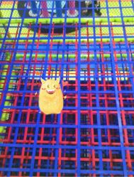 -蹦贝运动中心·蹦床·攀岩·闯关(龙岗店)