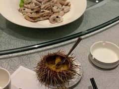 海胆-渔公码头·九龙湾国际饭店
