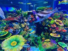 -成都浩海立方海洋公园