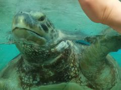 -海合安成都极地海洋公园
