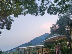 -蘇河湾·新鲁菜·泰山宴(泰山店)