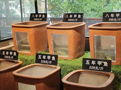 -王捌小院(红花坡店)