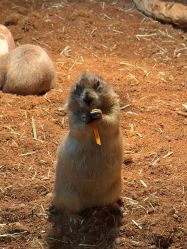 -Zoolung Zoolung动物主题公园(海信广场店)