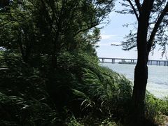 -老味道1992(武当山店)